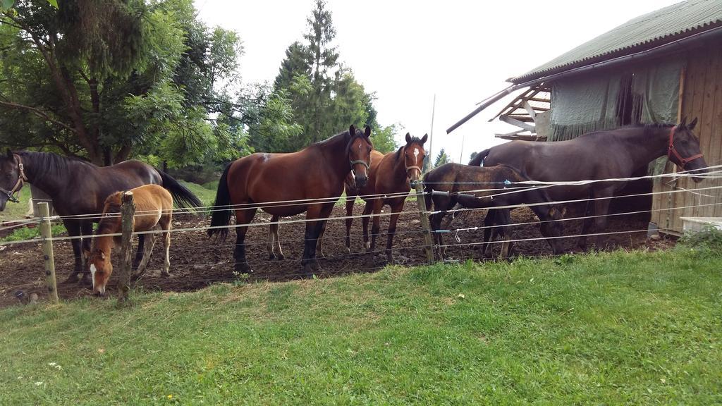 Tourist Farm Znidarjevi Villa Kozljek Exterior foto