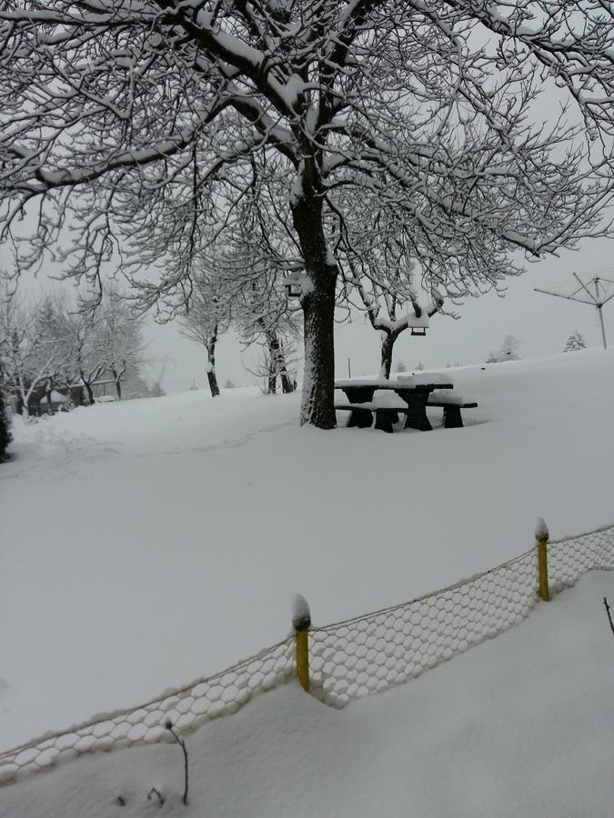 Tourist Farm Znidarjevi Villa Kozljek Exterior foto