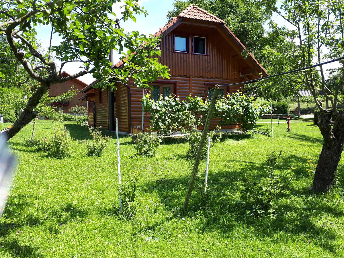 Tourist Farm Znidarjevi Villa Kozljek Exterior foto