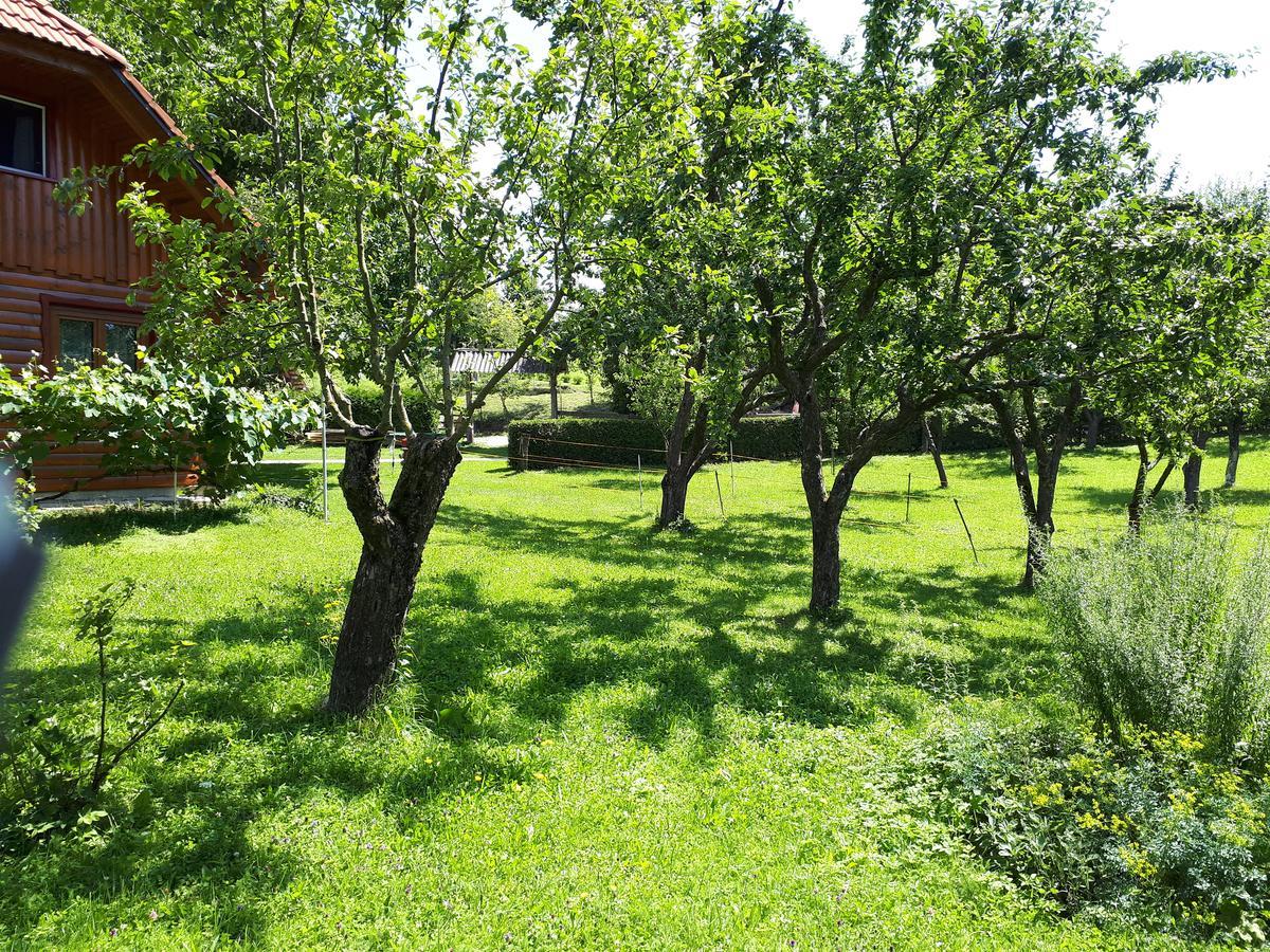 Tourist Farm Znidarjevi Villa Kozljek Exterior foto