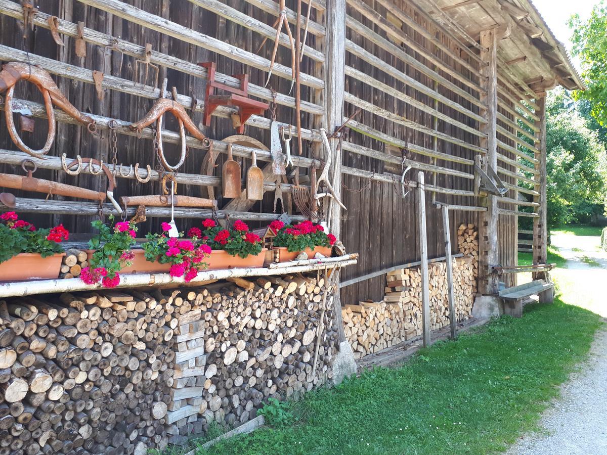 Tourist Farm Znidarjevi Villa Kozljek Exterior foto