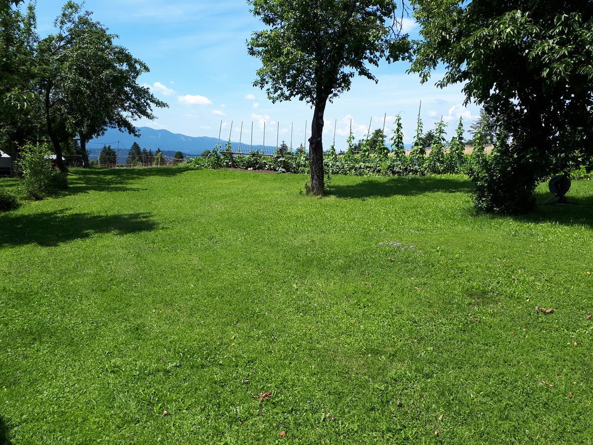 Tourist Farm Znidarjevi Villa Kozljek Exterior foto